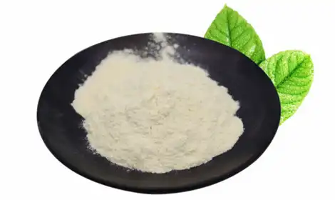 Can Ginseng Peptides Improve Brain Function and Focus?